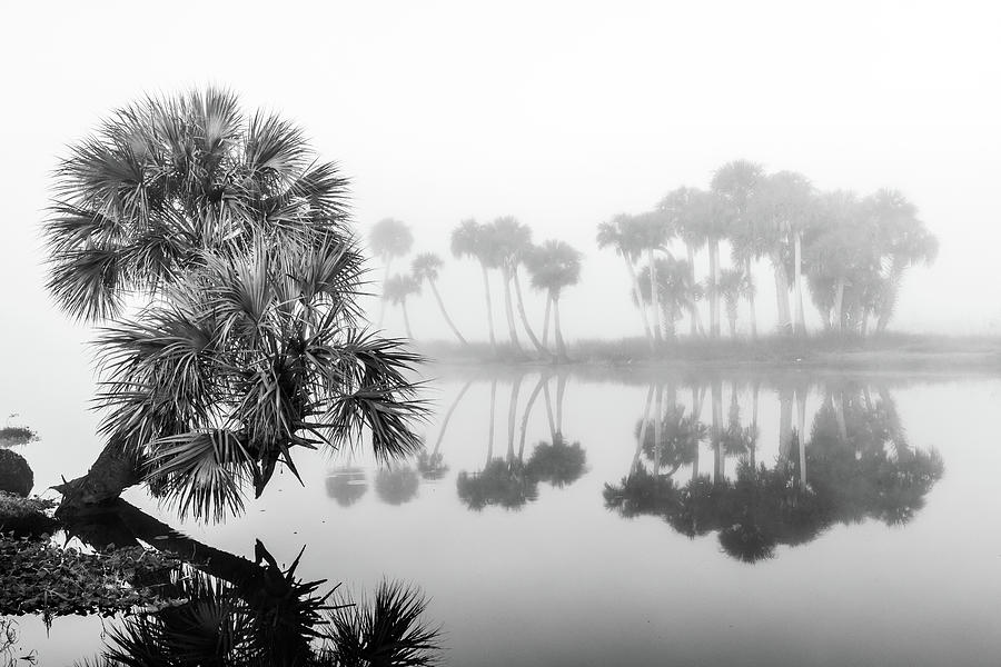 Foggy winter morning at Econ River Monochrome Photograph by Stefan Mazzola