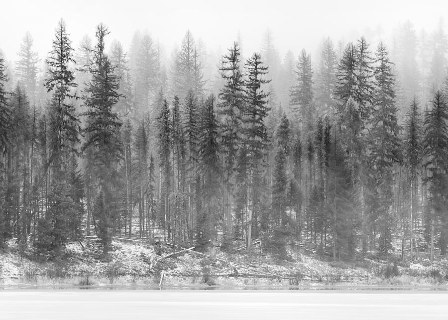 Foggy Winter Morning at Rainy Lake Photograph by Matt Hammerstein