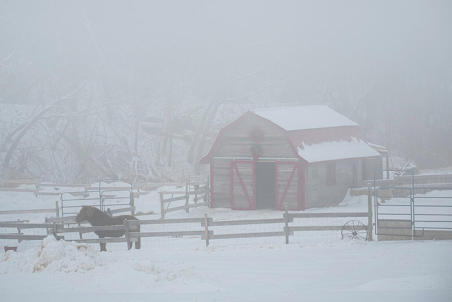 Foggy Winter Morning Photograph by Denise LeBleu