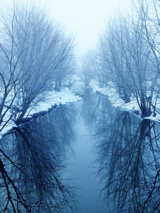 Foggy Winter Morning  Photograph by Lori Frisch