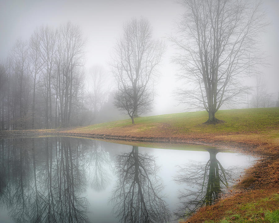 Foggy Winter Morning Photograph by Wendell Thompson