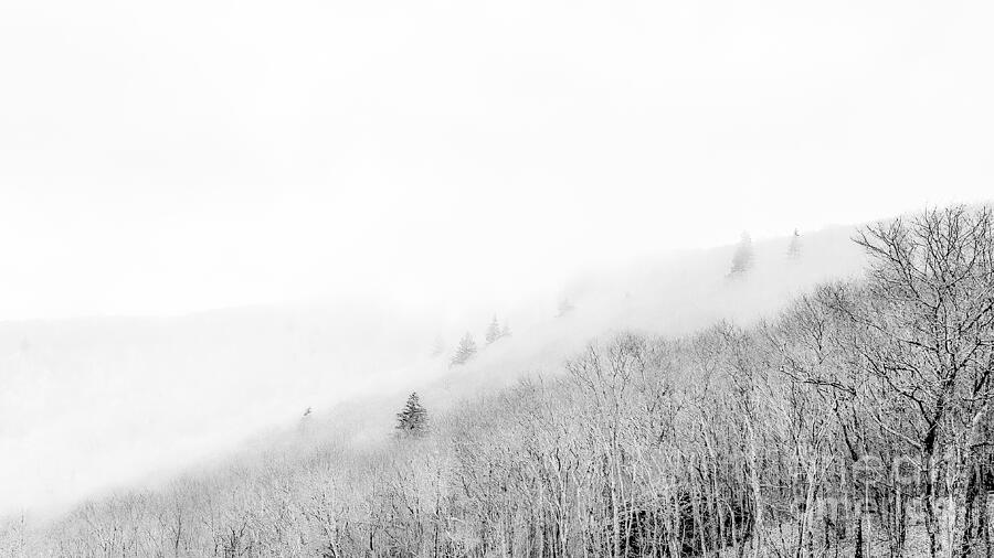 Foggy Winter Mountains Photograph by Leslie Brashear Foggy Winter Mountains Photograph by Leslie Brashear