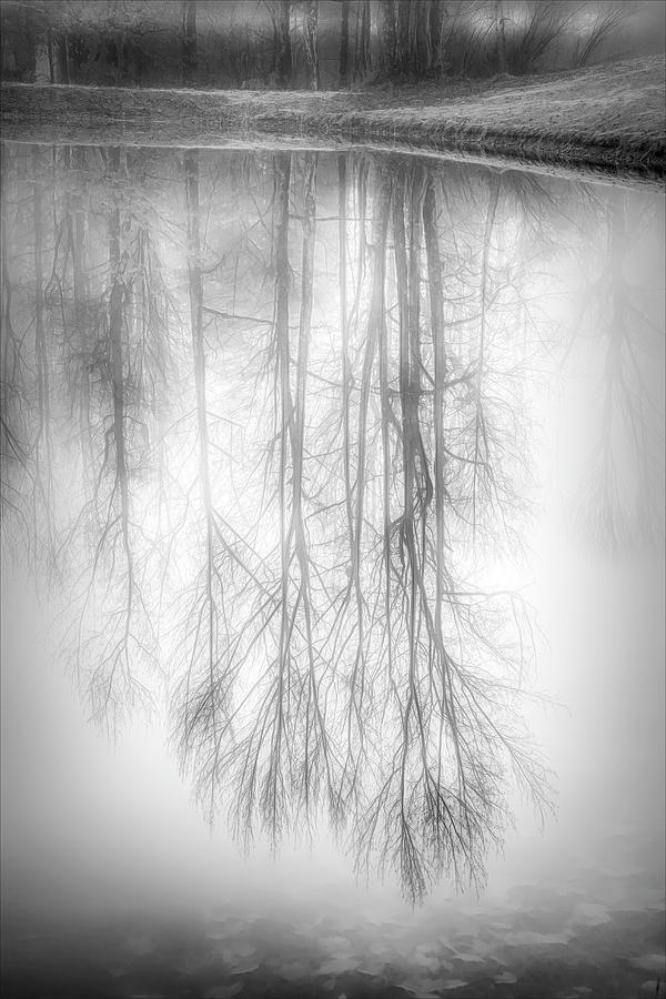 Foggy Winter Reflection Photograph by Wendell Thompson