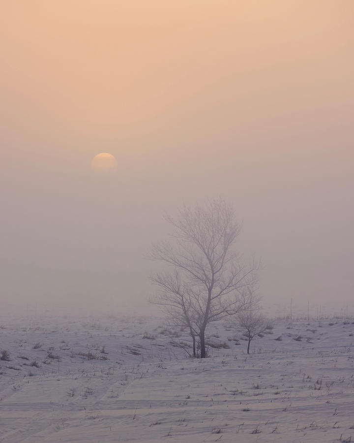 Foggy Winter Sunrise Photograph by Patti Deters