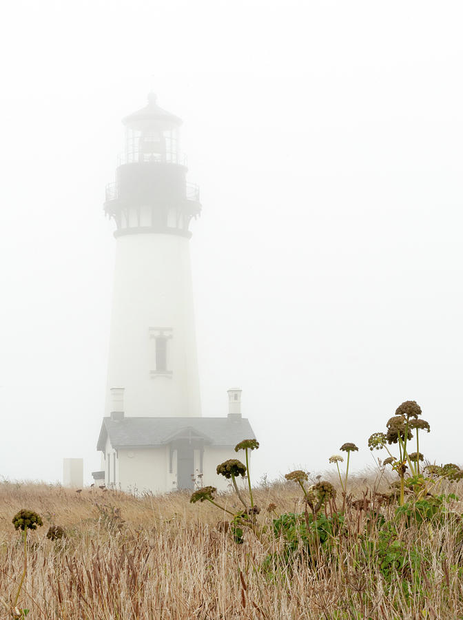 Foggy Yaquina Lighthouse Photograph by Doug Davidson