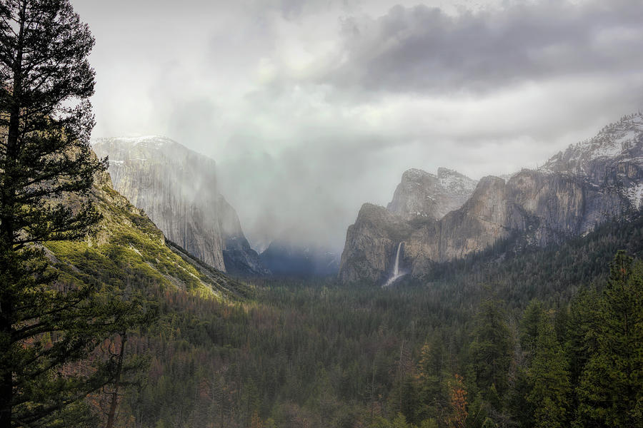 Foggy Yosemite Valley Photograph