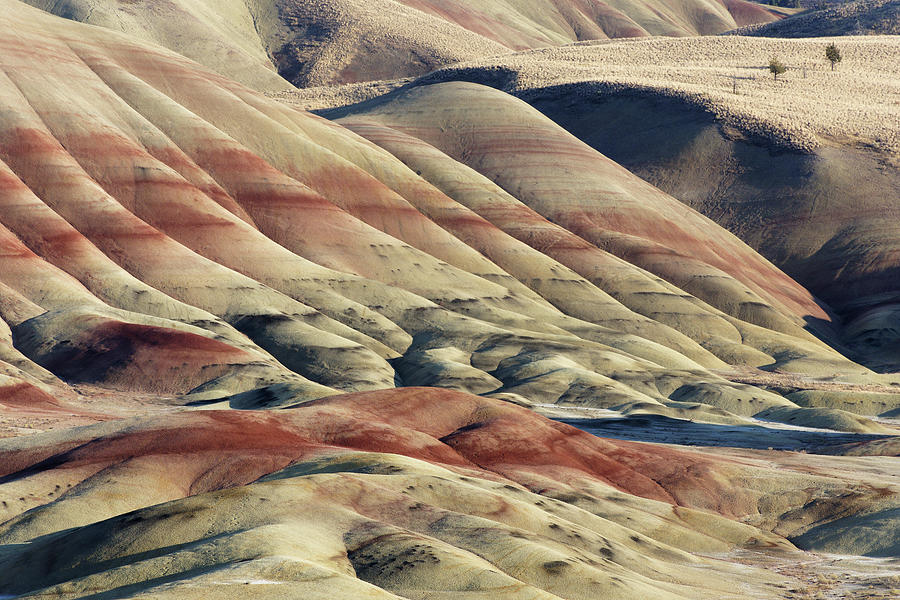Folds in the Earth -- Painted Hills at John Day Fossil Beds National Monument, Oregon Photograph by Darin Volpe