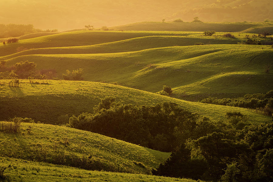 Folds of Green by Scott Bean Folds of Green by Scott Bean