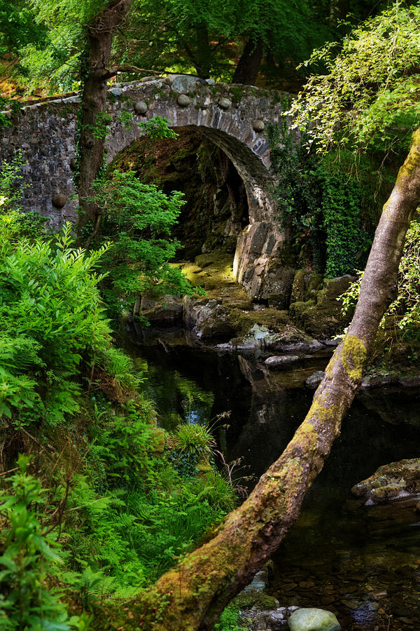 Foleys Bridge across Shimna River in Tollymore Forest Park, Northern Ireland Photograph by Anna Gorin
