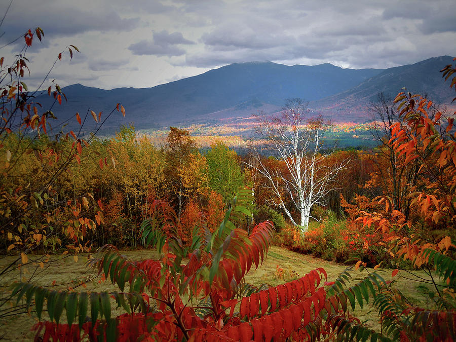 Foliage Galor from Sugar Hill New Hampshire Photograph by Nancy Griswold