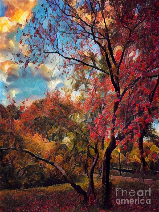 Foliage of Fall Photograph by Miriam Danar