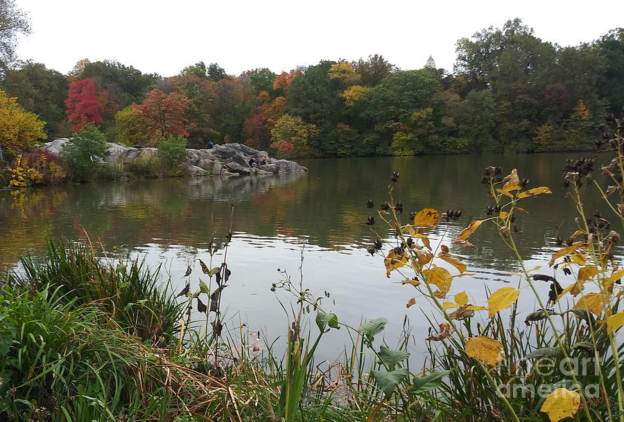 Fall Foliage on Lake Digital Art by Gabrielle Schertz