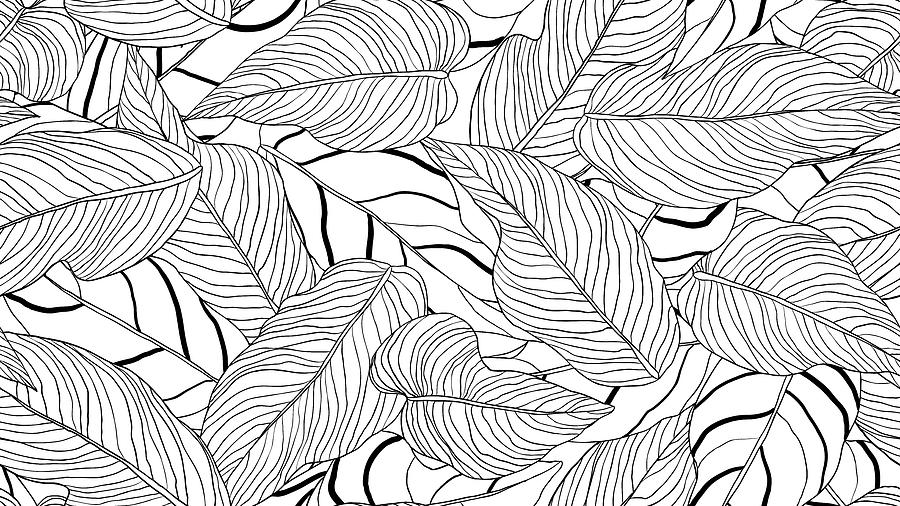 Foliage seamless pattern, long leaves line art ink drawing in black and ...