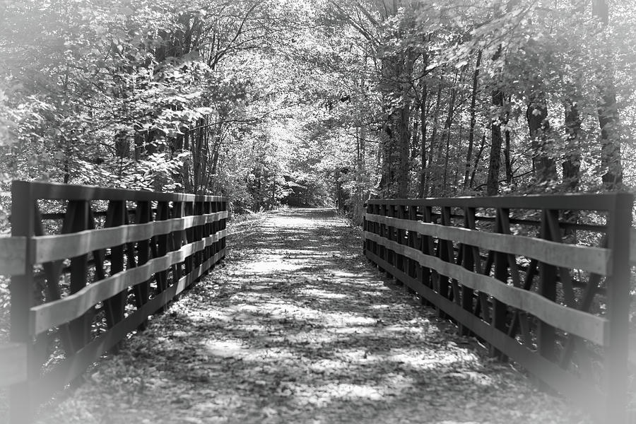 Wooden Bridge_7744 Photograph by Rocco Leone
