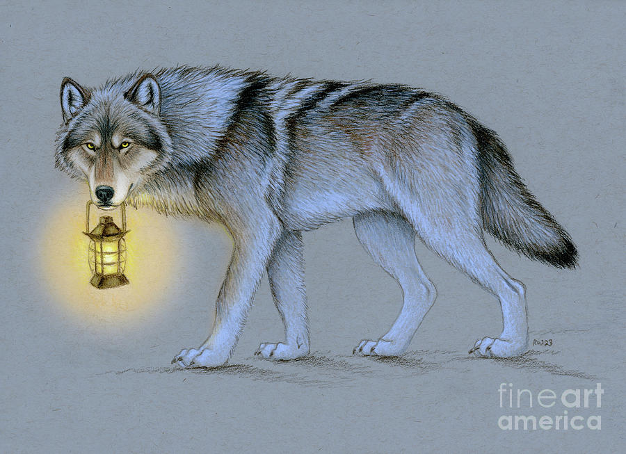 Follow Me - Wolf and Lantern Drawing by Rebecca Wang