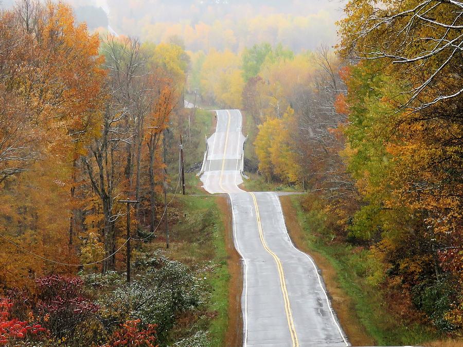 Follow the Autumn Road  Photograph by Lori Frisch