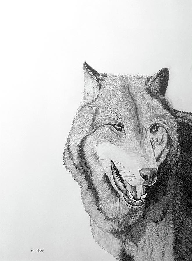 Follow the Leader Wolf Drawing Drawing by Silverline Fine Art | Fine ...