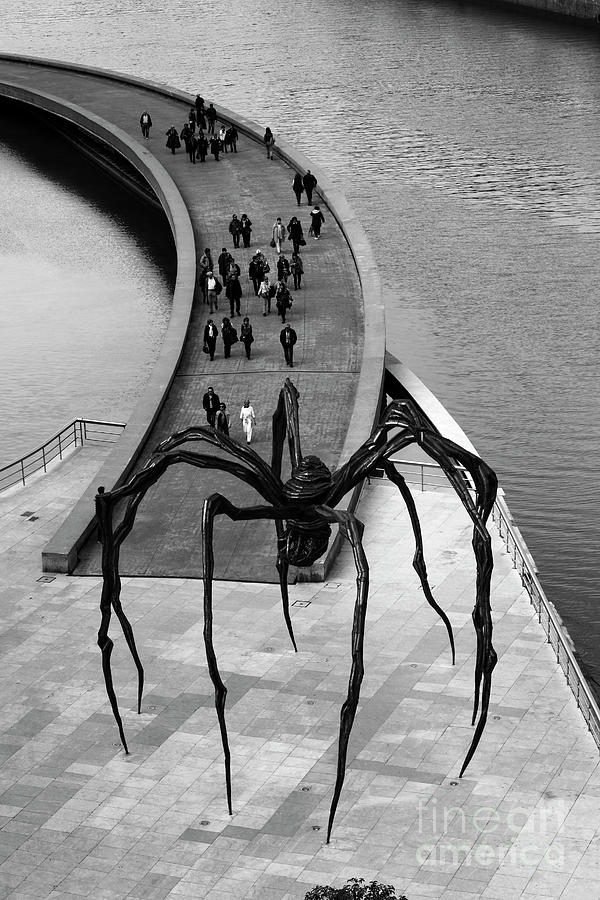 Follow The Spider Bilbao Spain Photograph by James Brunker