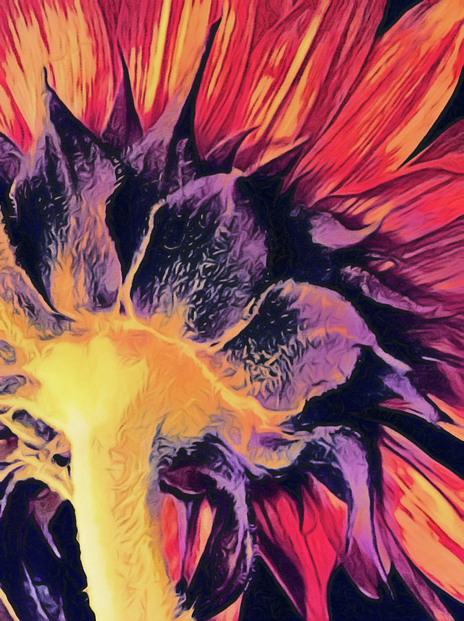Sunflower Digital Art - Follow the Sun by Susan Maxwell Schmidt