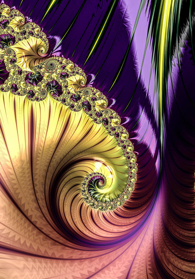 Follow The Swirl Digital Art By Vickie Fiveash
