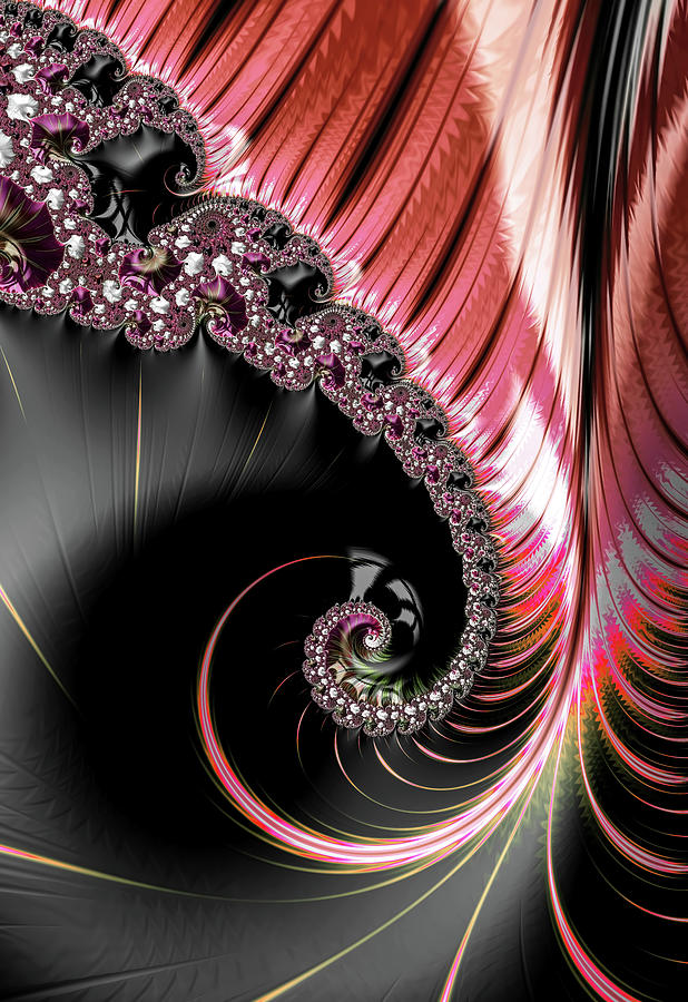 Follow The Swirls Digital Art by Vickie Fiveash