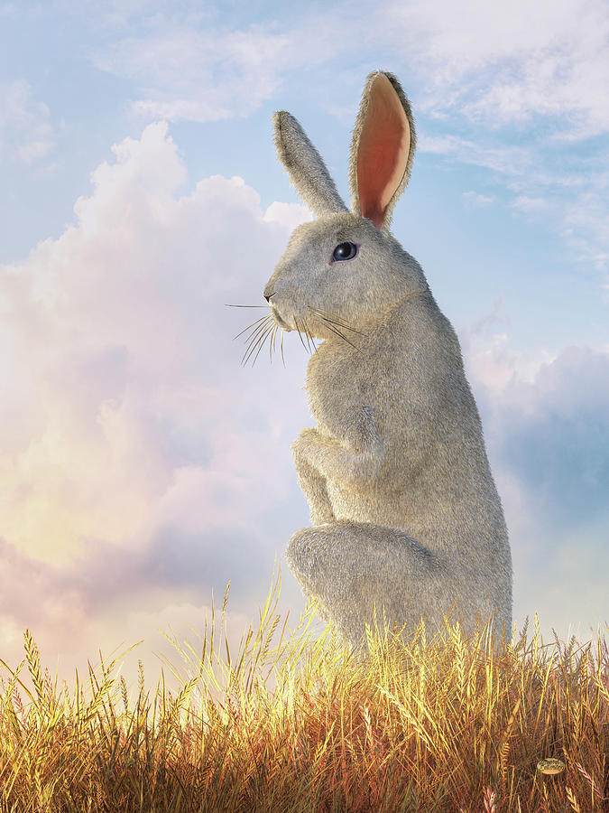 Follow the White Rabbit Digital Art by Daniel Eskridge