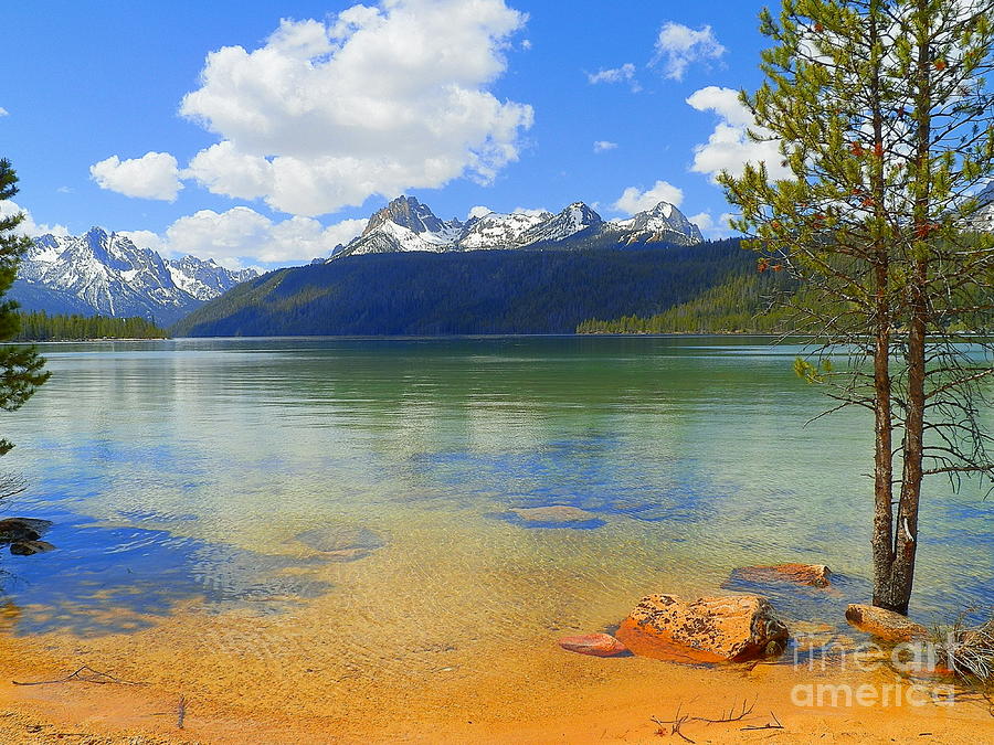 https://images.fineartamerica.com/images/artworkimages/mediumlarge/3/follow-your-heart-to-discover-the-spirit-of-nature-sawtooth-national-recreation-area-stanley-idaho-art-sandi.jpg