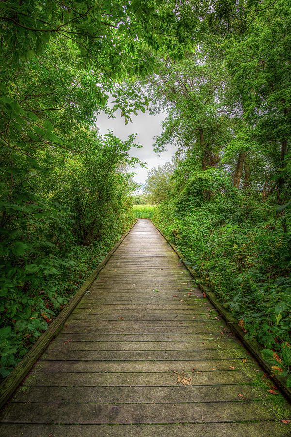 Follow Your Path Photograph by Brad Bellisle