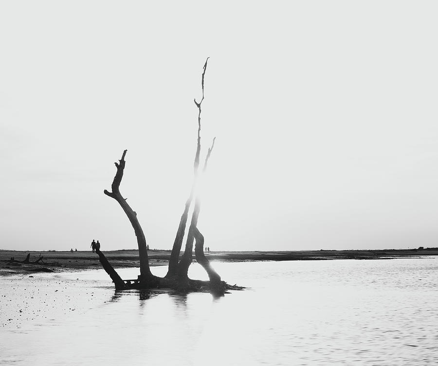 Black And White Photograph - Folly Beach Black And White Minimalism by Dan Sproul