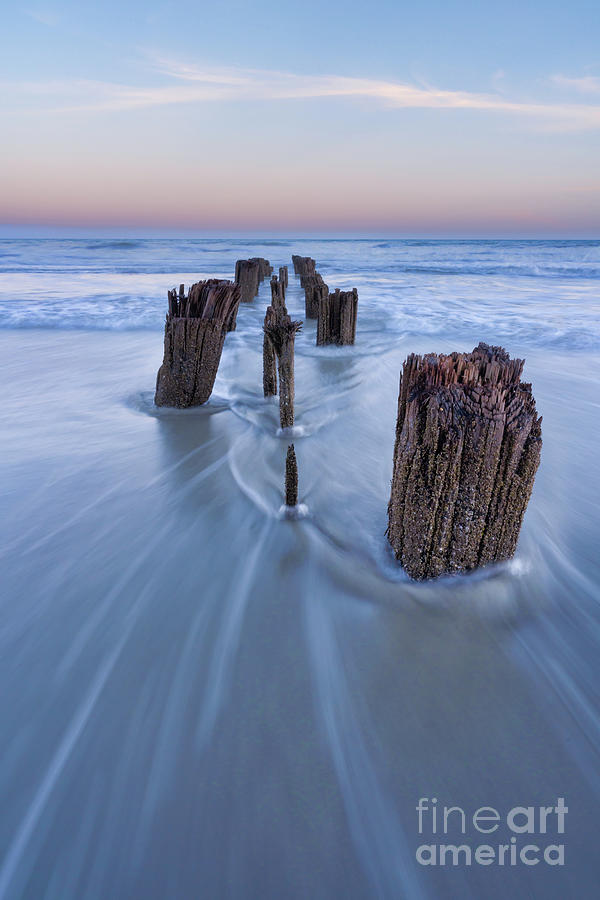 Folly Beach SC Blue Hour Vertical Photograph by Bee Creek Photography - Tod and Cynthia