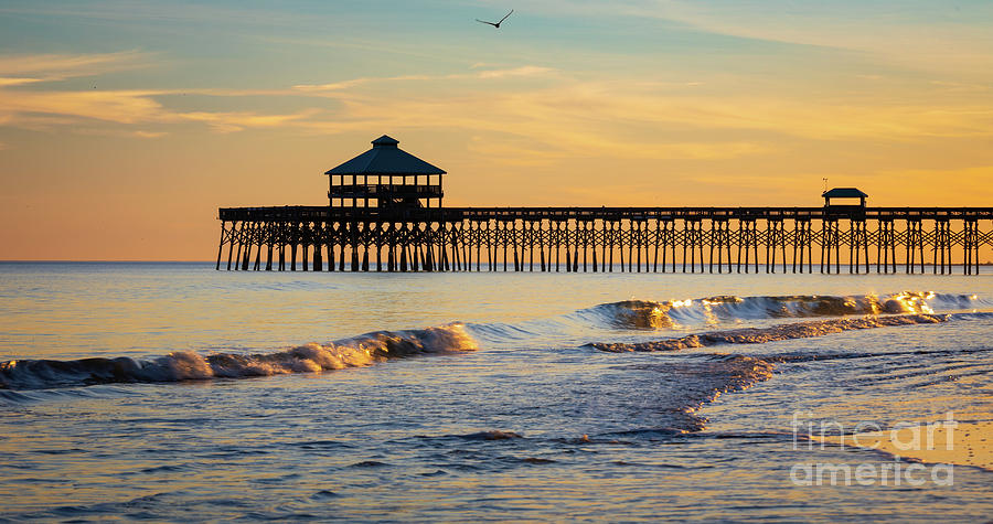 Folly Beach Waves Photograph by Inge Johnsson