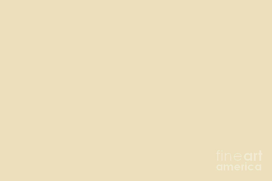 https://images.fineartamerica.com/images/artworkimages/mediumlarge/3/fond-memory-ivory-solid-color-simply-solids.jpg