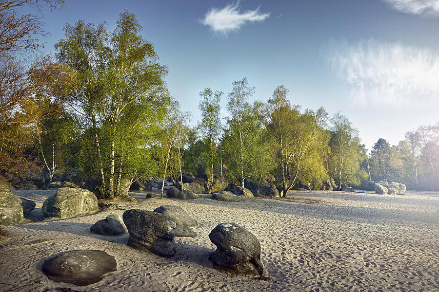 Fontainebleau Sands Photograph by James ONeil