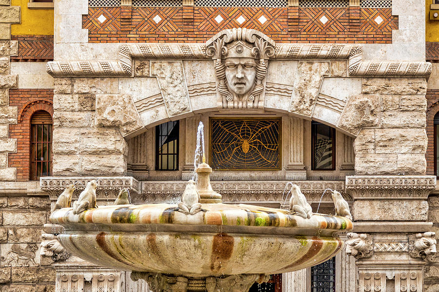 Fontana delle Rane and the Palazzo del Ragno  Photograph by Fabrizio Troiani