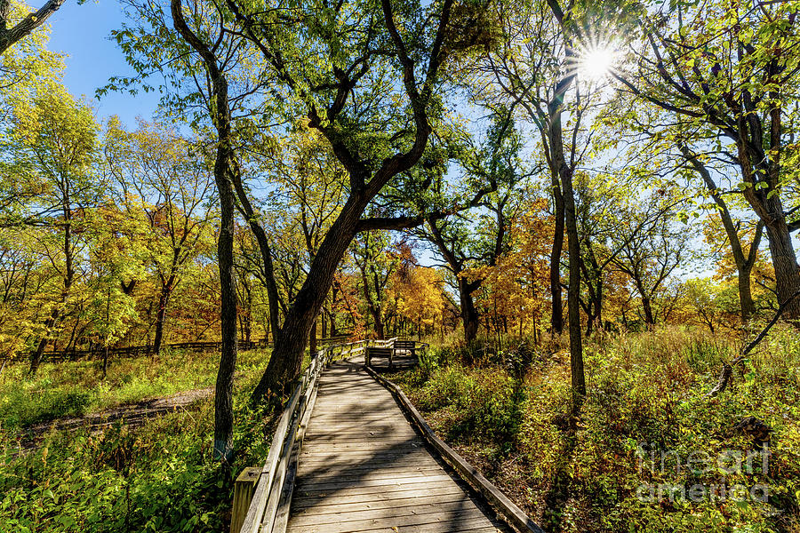 Fontenelle Forest Fall Hike Photograph by Jennifer White - Fine Art America