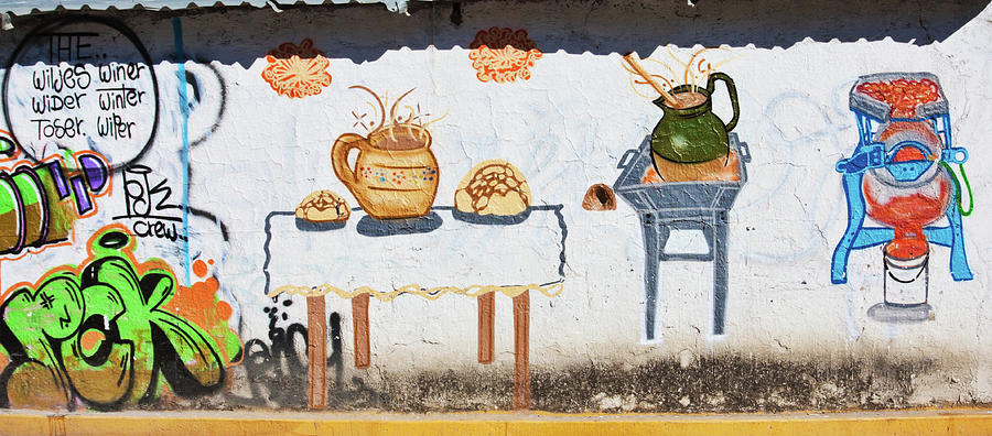 Food Mural Art in Mexico Photograph by Tatiana Travelways