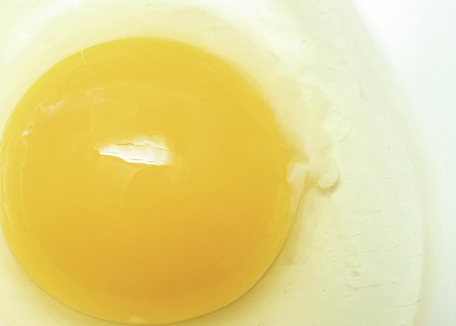 Food Photography - Egg Yolk Photograph by Amelia Pearn