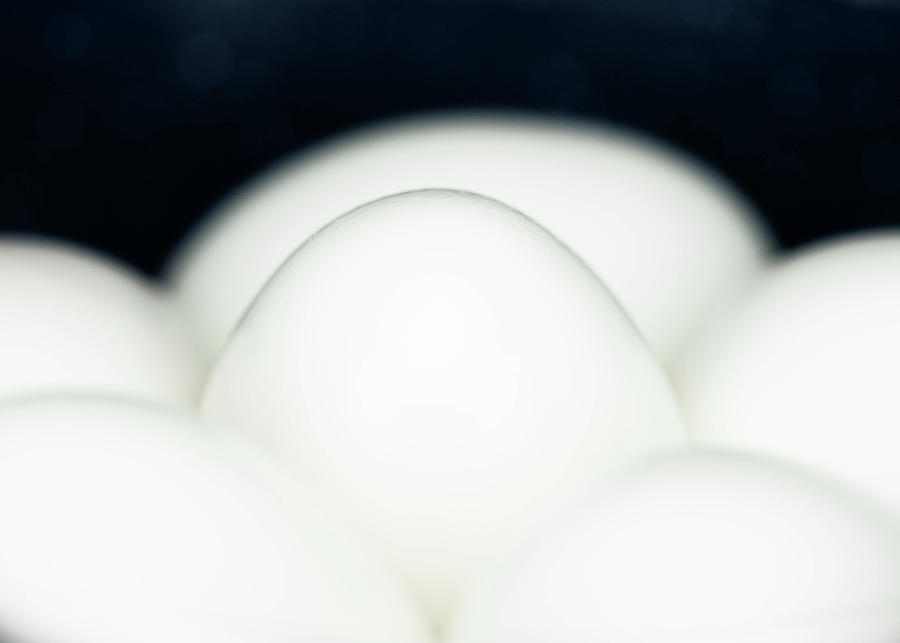 Food Photography - Eggs on Black Photograph by Amelia Pearn