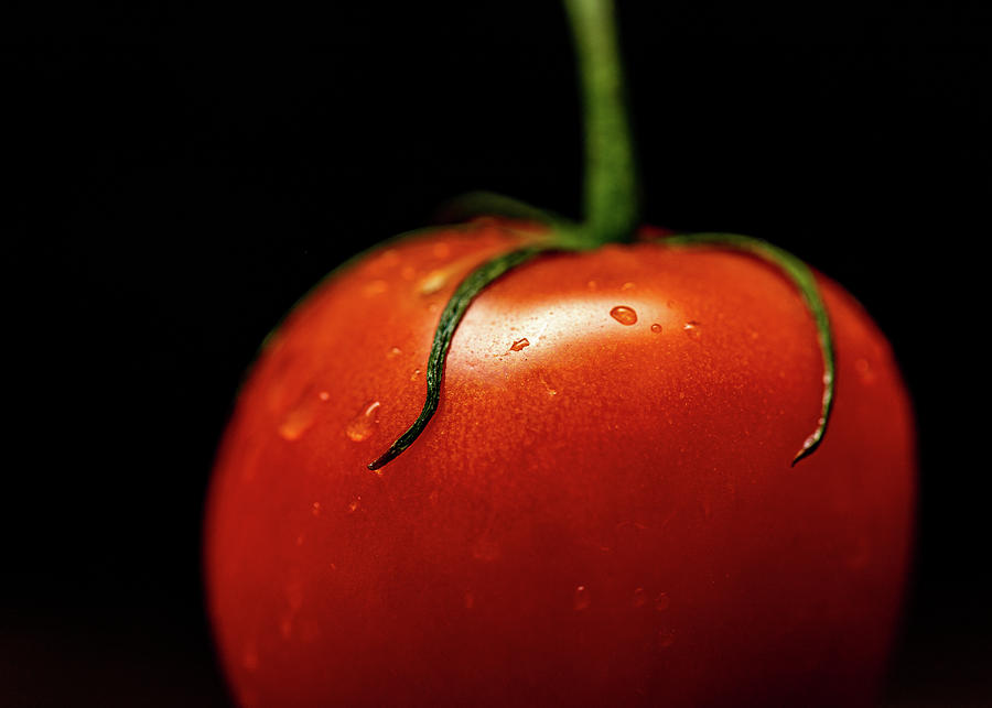 Food Photography - Tomato Photograph by Amelia Pearn
