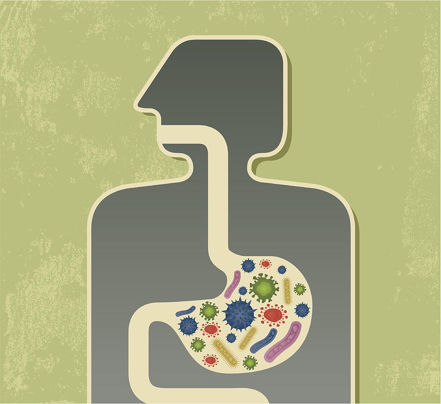 Food poisoning graphic with multicolored bacteria in stomach Drawing by Sorbetto