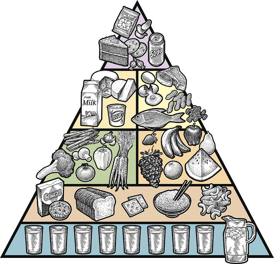 Food Pyramid Drawing by KeithBishop