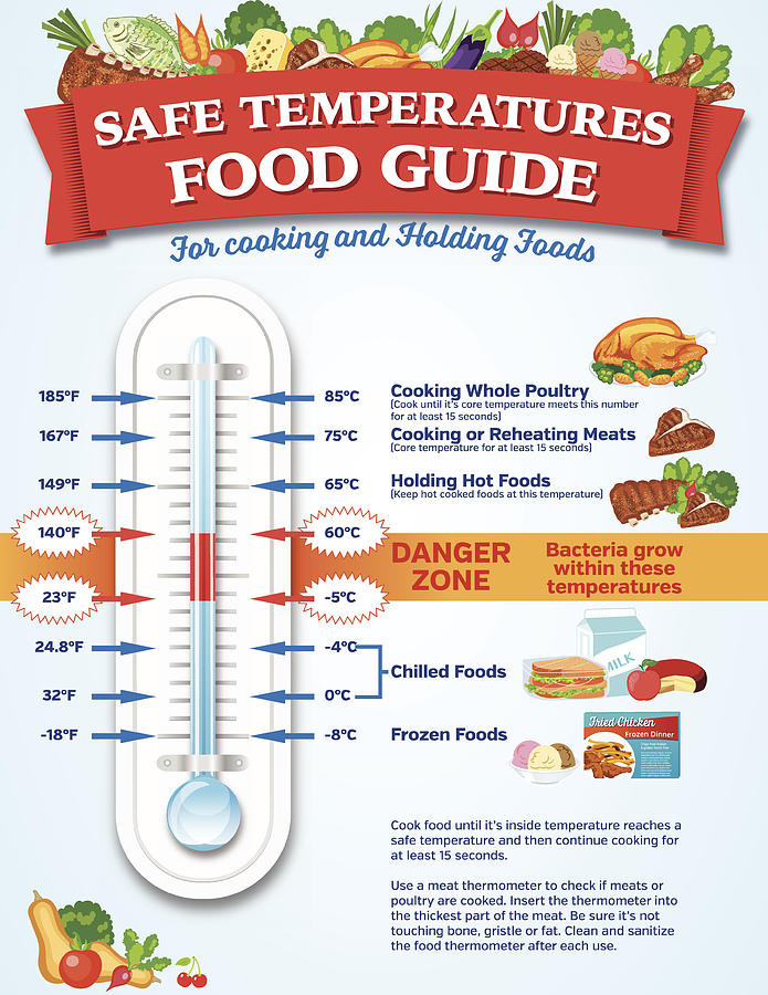Food Safety Guide Infographic Drawing by Diane Labombarbe
