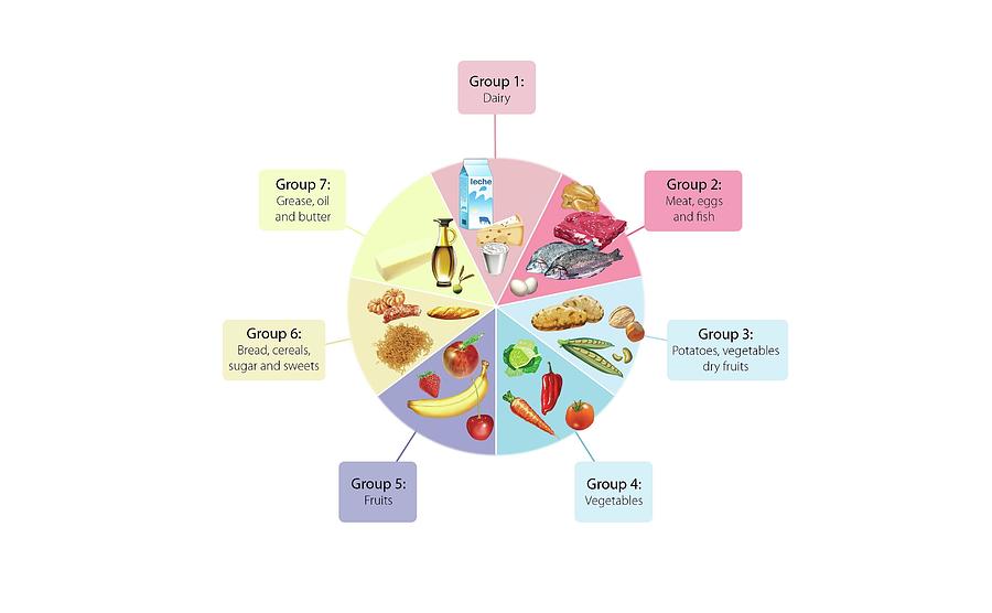 Food wheel. Digital Art by Album
