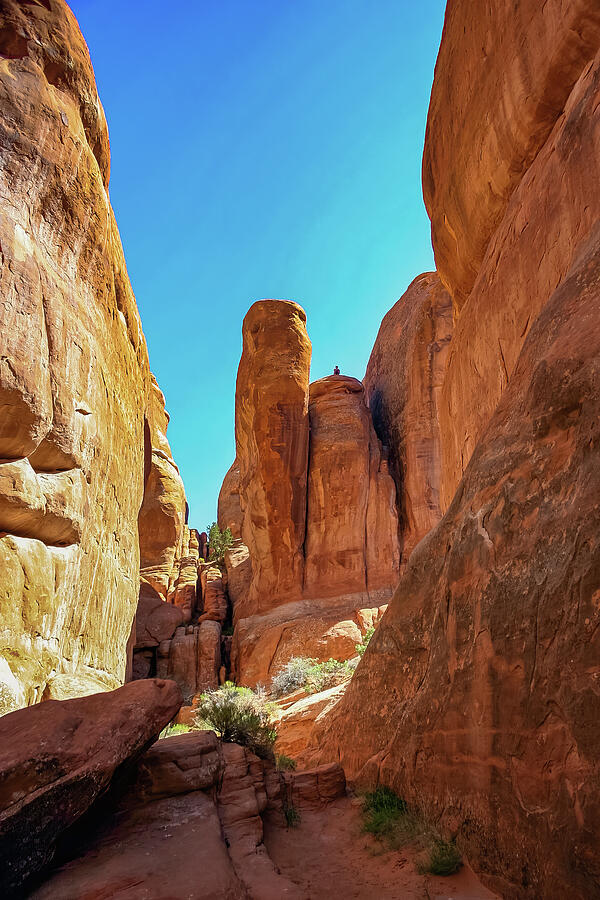 Fool on the Hill Arches Utah Photograph by Tommy Farnsworth Fool on the Hill Arches Utah Photograph by Tommy Farnsworth