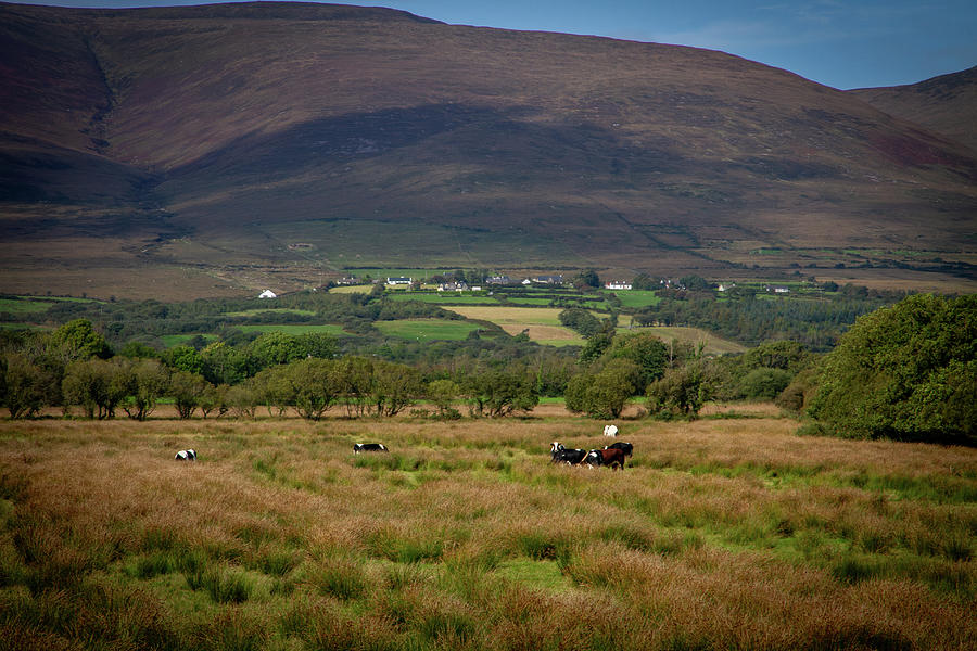 Foot of Slieve Mish  Photograph by Mark Callanan