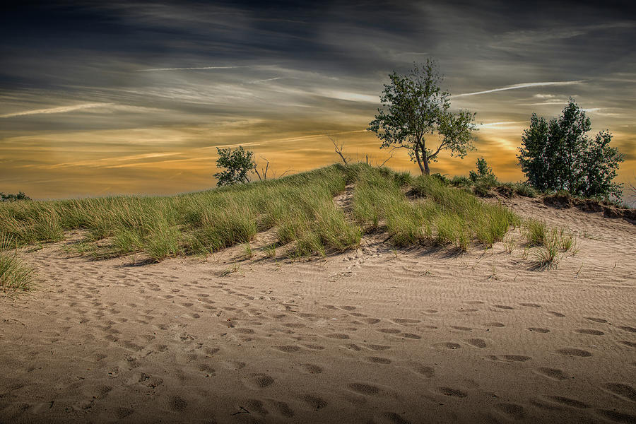 Foot Prints in the Dune Sand at Ottawa Beach Photograph by Randall Nyhof
