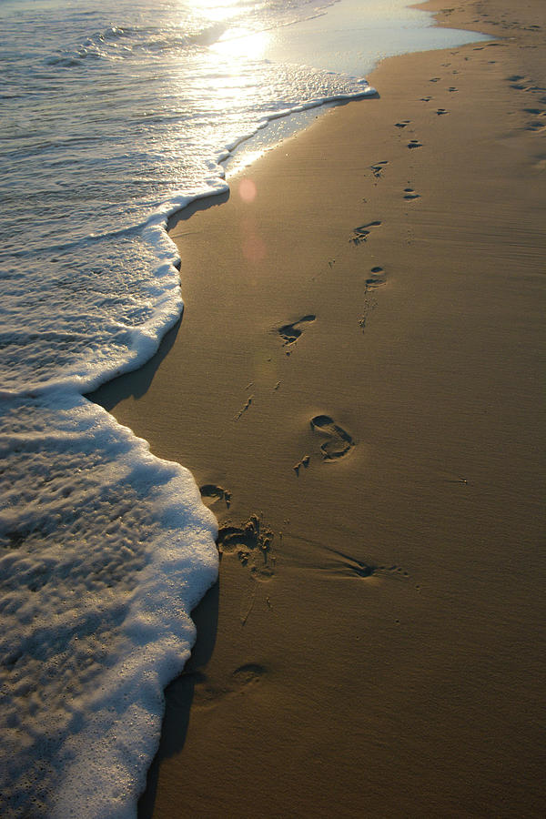 Foot Prints on the Beach Photograph by Pamela Williams