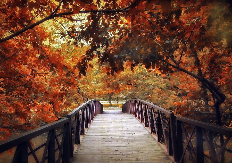 Footbridge Photograph by Jessica Jenney