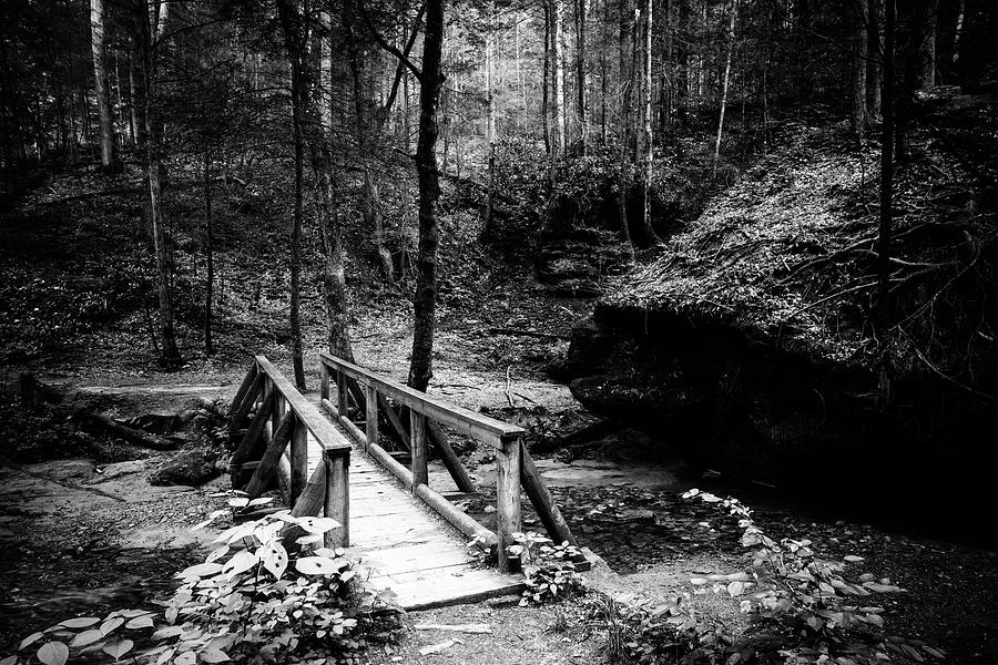 Footbridge on a trail Photograph by Alexey Stiop