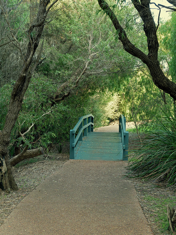 Footbridge on the River Walk, Augusta, Western Australia Photograph by Elaine Teague